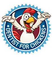 Dentist for Chickens